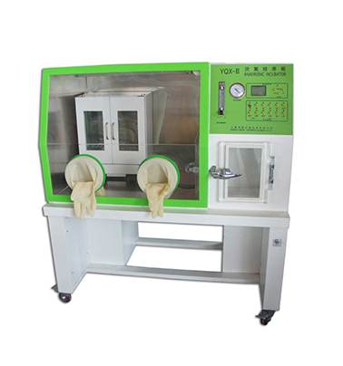 002 YQX-Ⅱ厌氧培养箱 上海龙跃