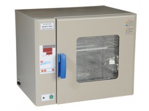 010 电热鼓风干燥箱