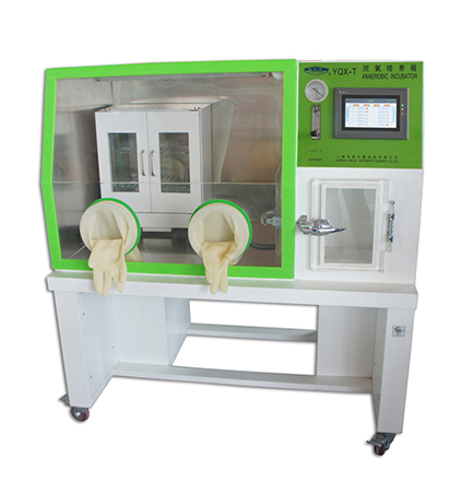 001 YQX-T厌氧培养箱 上海龙跃