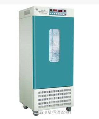 004 HSX-250 恒温恒湿箱 风棱牌