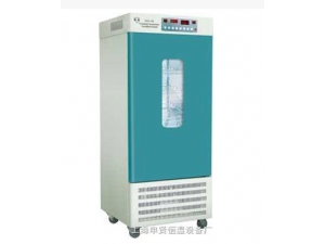 004 HSX-250 恒温恒湿箱 风棱牌