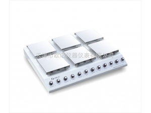 005 六头加热磁力搅拌器 EMS-19 天津欧诺