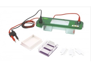 002 水平 电泳槽 JY-SPAT