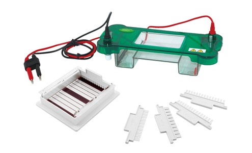 001 水平电泳槽 JY-SPBT
