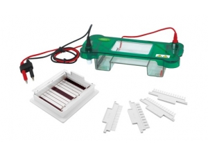 001 水平电泳槽 JY-SPBT